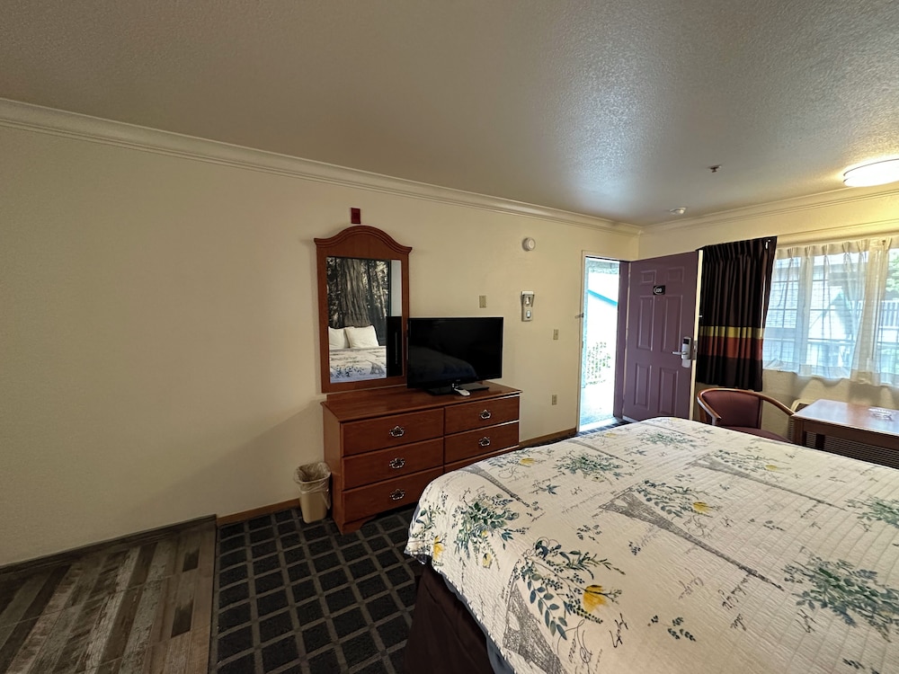 Premium Room, 1 King Bed, Smoking photo 1