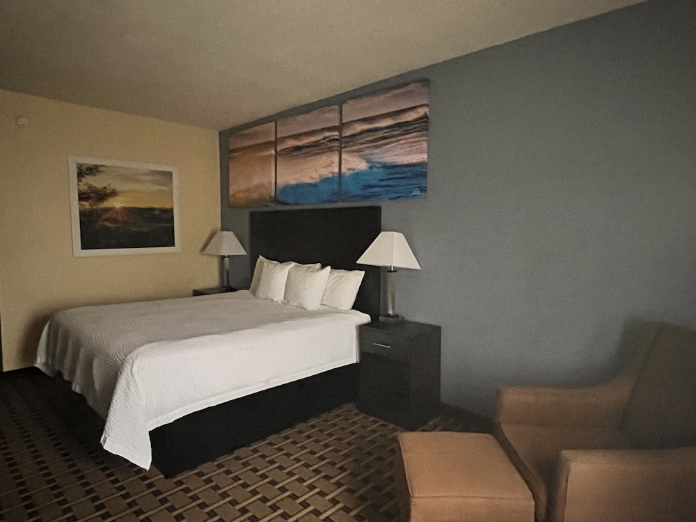 Standard Room, 1 King Bed, Non Smoking photo 2