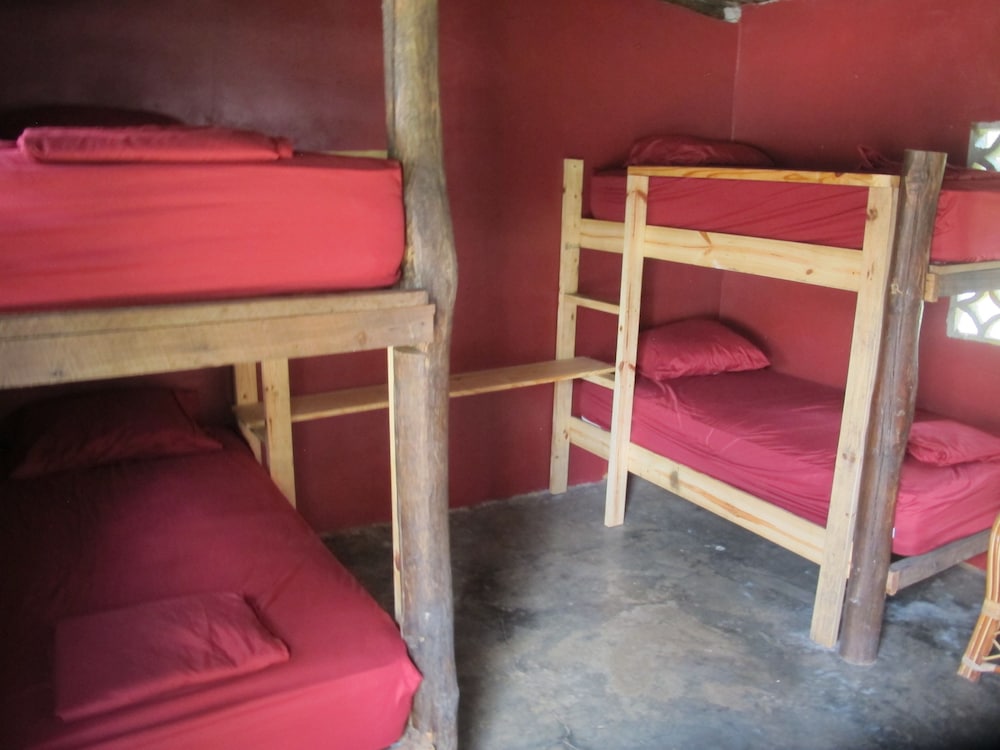Shared Dormitory photo 1