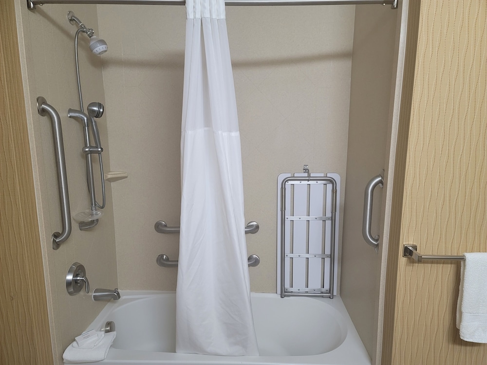 Room, 1 King Bed, Accessible, Bathtub