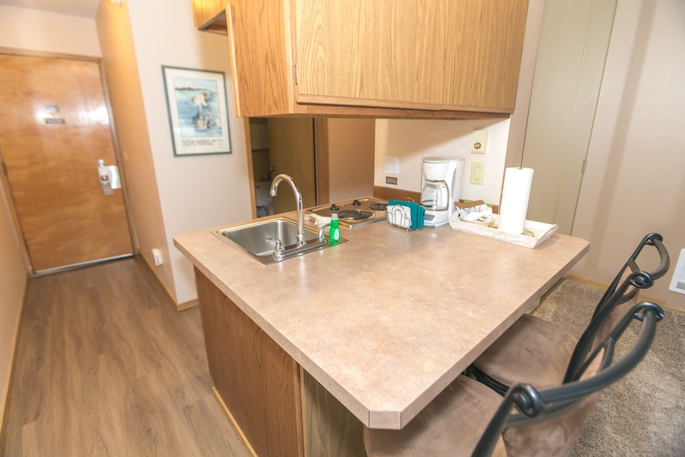 Standard Studio, 1 King Bed, Kitchenette, Pool View (Studio Unit- Room 202-No Pets) - Photo 6