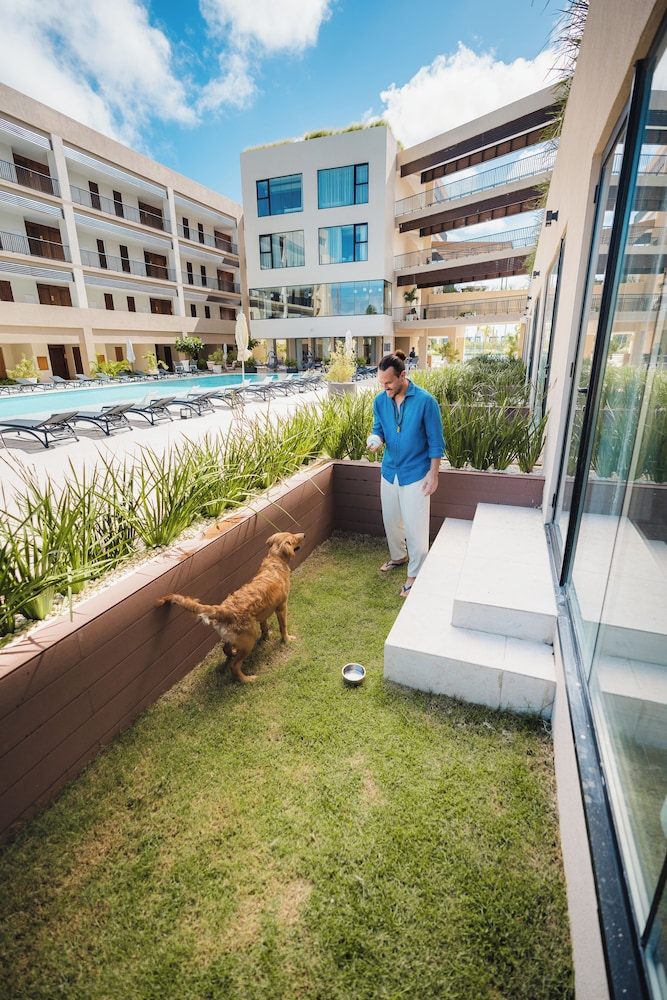 Junior Suite, Terrace, Pool View
