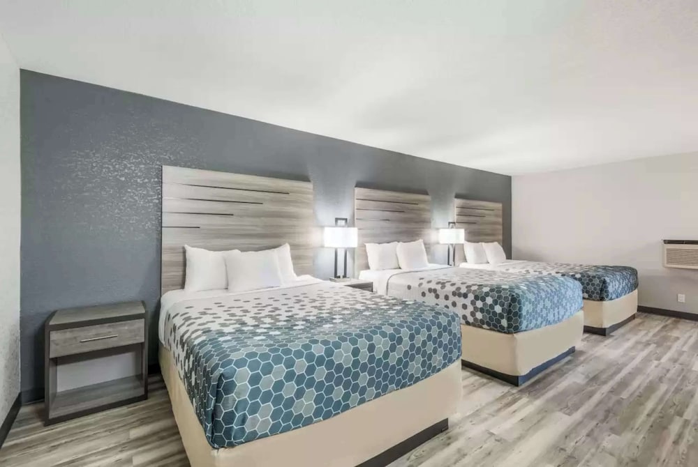 Suite, Multiple Beds photo 2
