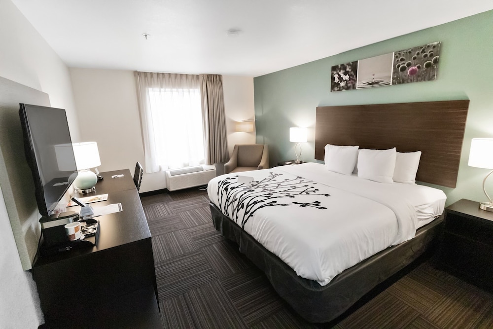 1 King Bed, Nonsmoking, Upgrade - Photo 1