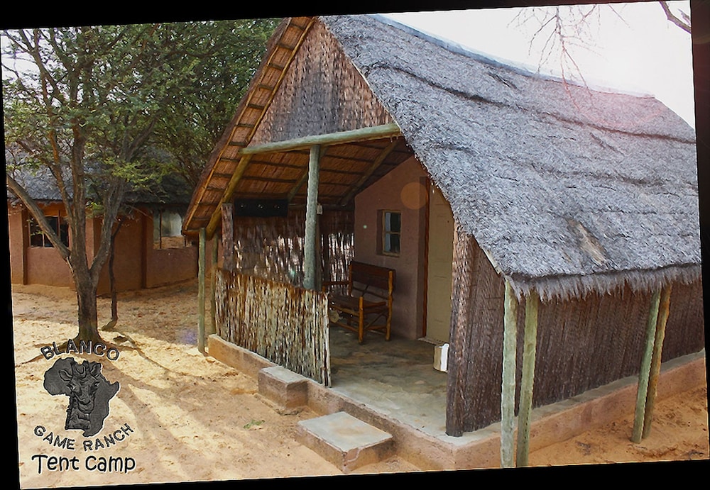 Basic Tent, 2 Twin Beds, Non Smoking photo 3