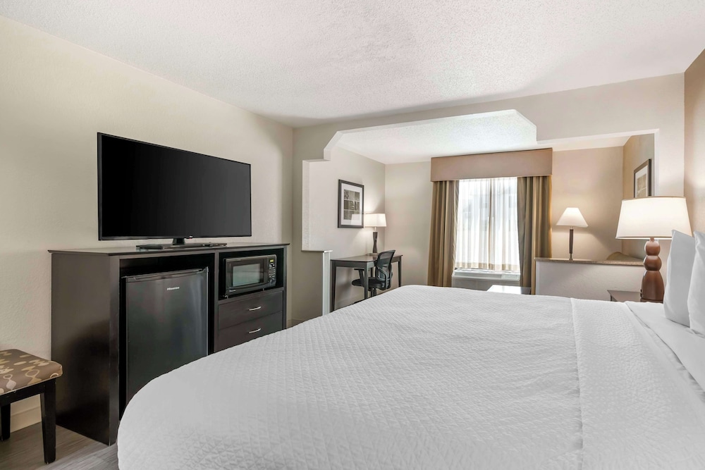 Suite, 1 King Bed, Non Smoking, Refrigerator & Microwave (with Sofabed) - Photo 1