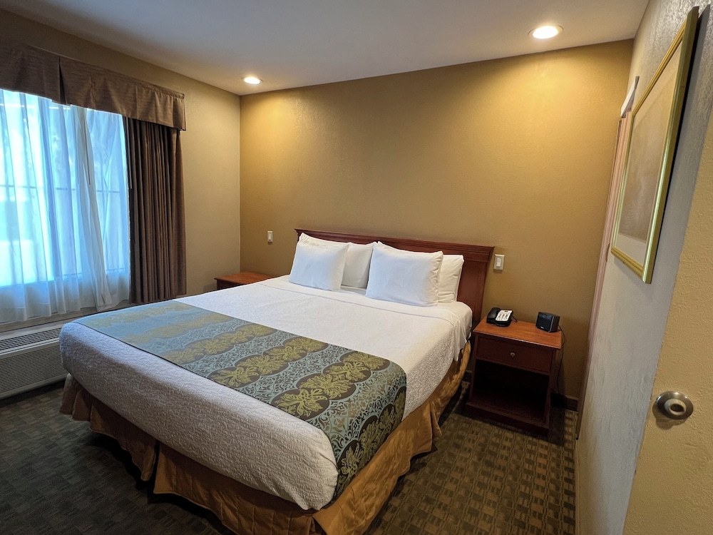 Basic Room