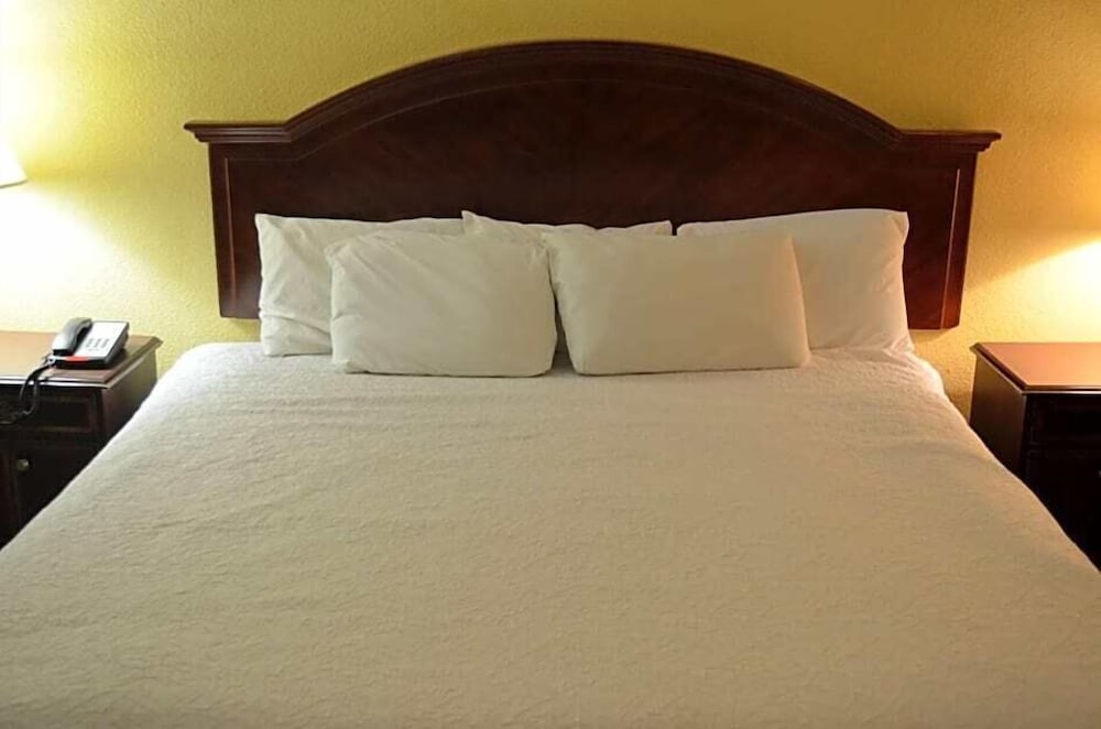 Comfort Double or Twin Room photo 1