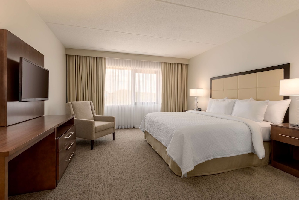 Suite, 1 King Bed, Non Smoking photo 3