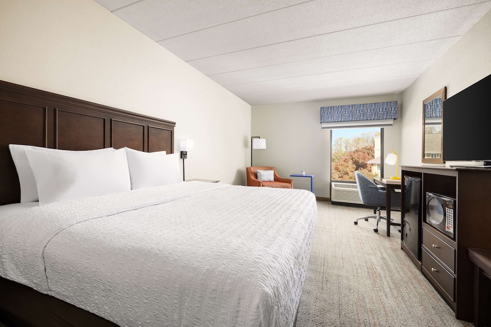 Room, 1 King Bed, Non Smoking - Photo 4