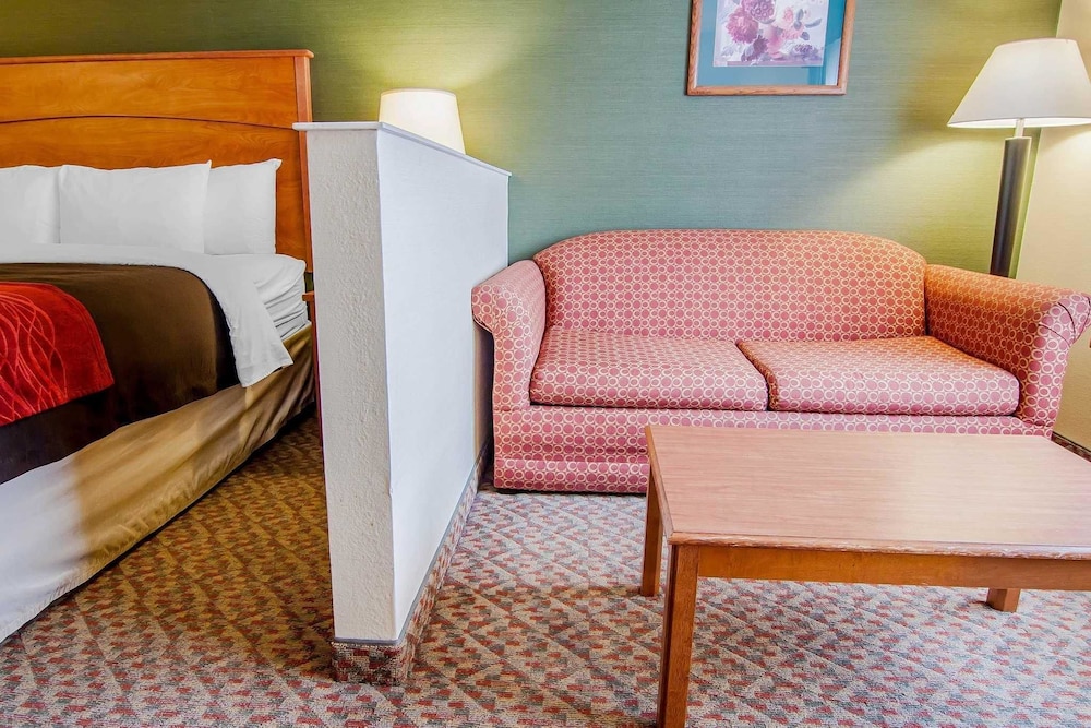 Suite, 1 King Bed with Sofa bed, Non Smoking - Photo 3
