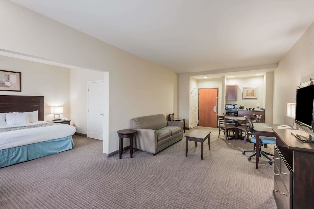 Studio Suite, 1 King Bed, Non Smoking, Bathtub (Mobility/Hearing) - Photo 1