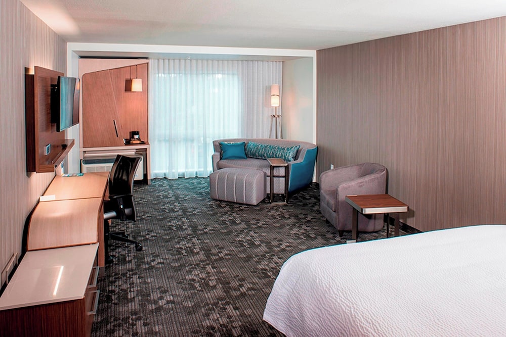 Room, 1 King Bed with Sofa bed