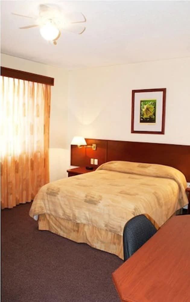 Executive Room photo 1