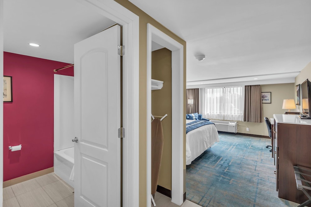 Comfort Single Room, 1 King Bed photo 3