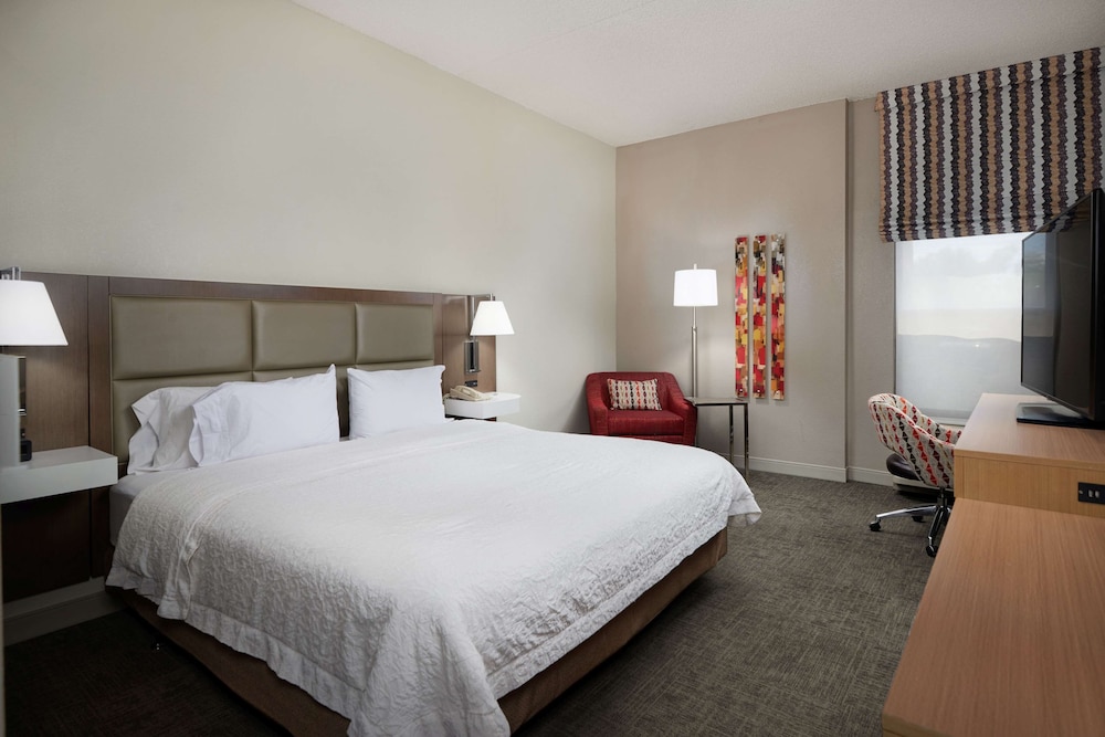 Room, 1 King Bed, Accessible (Mobility & Hearing, Roll-In Shower) - Photo 1