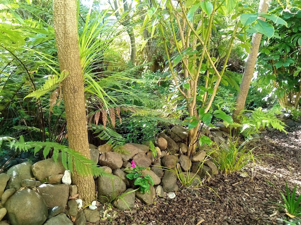 Garden View King Studio - Ground Floor photo 2