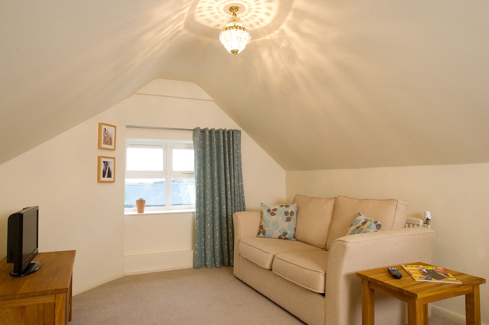 Luxury Studio Suite