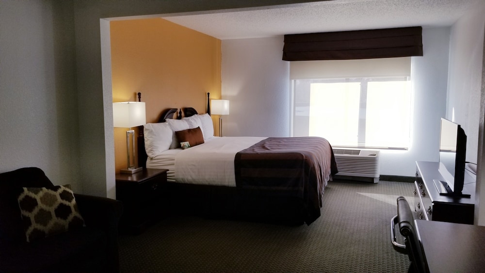 Room, 1 King Bed with Sofa bed photo 2