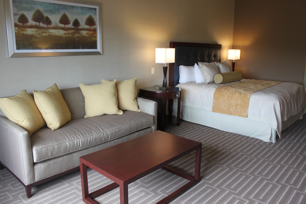 Hotel, 1 King Bed