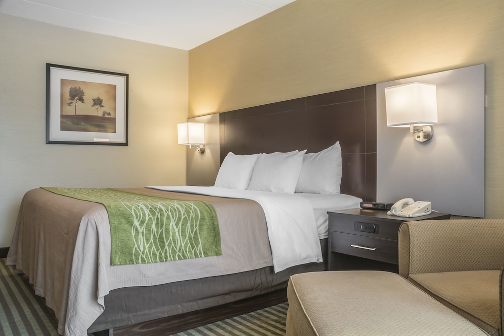 Standard Room, 1 King Bed, Ground Floor - Photo 3