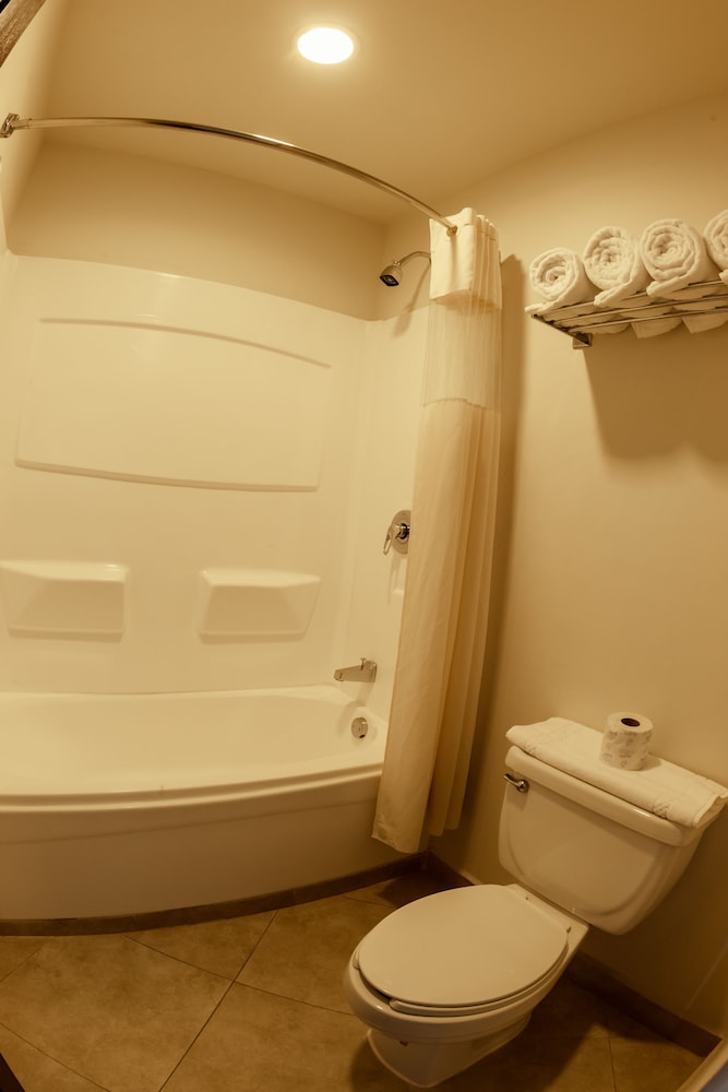Junior Suite, 1 King Bed photo 2