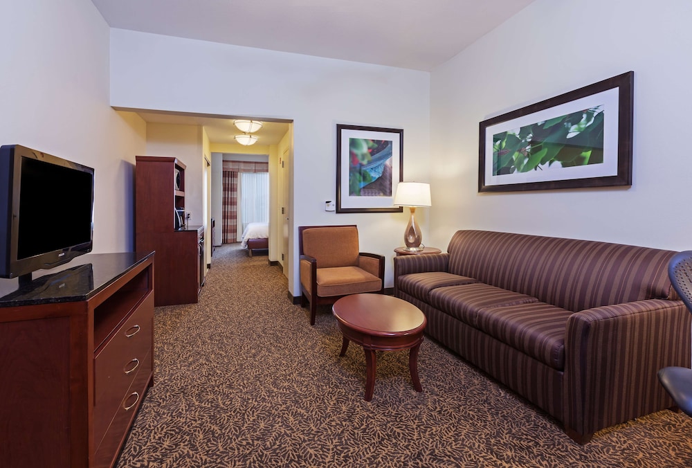 Suite, 1 King Bed - Photo 3