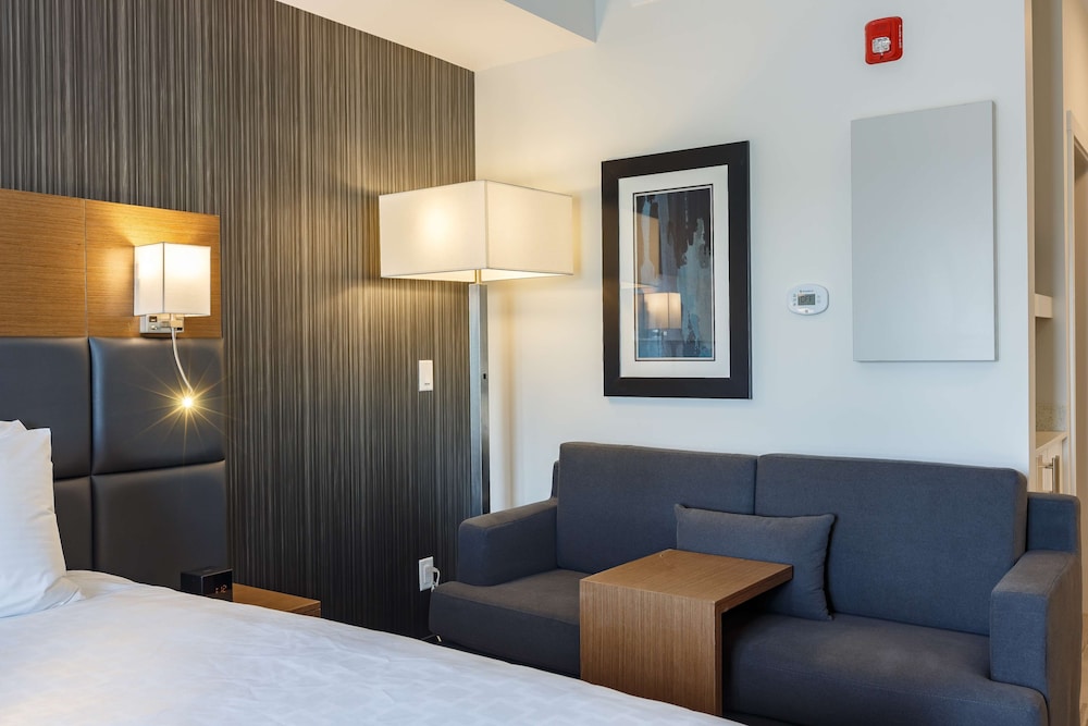 Suite, 1 King Bed, Non Smoking, Kitchenette (with Sofa bed) (non-Pet friendly) - Photo 3