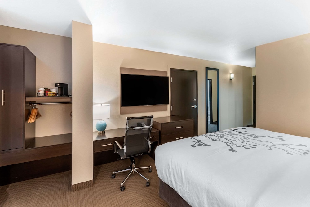 Suite, 1 King Bed, Non Smoking