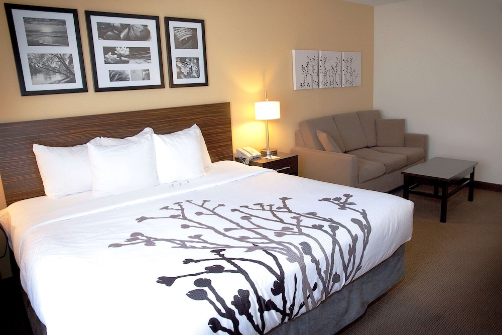 Suite, 1 King Bed with Sofa bed, Non Smoking photo 1