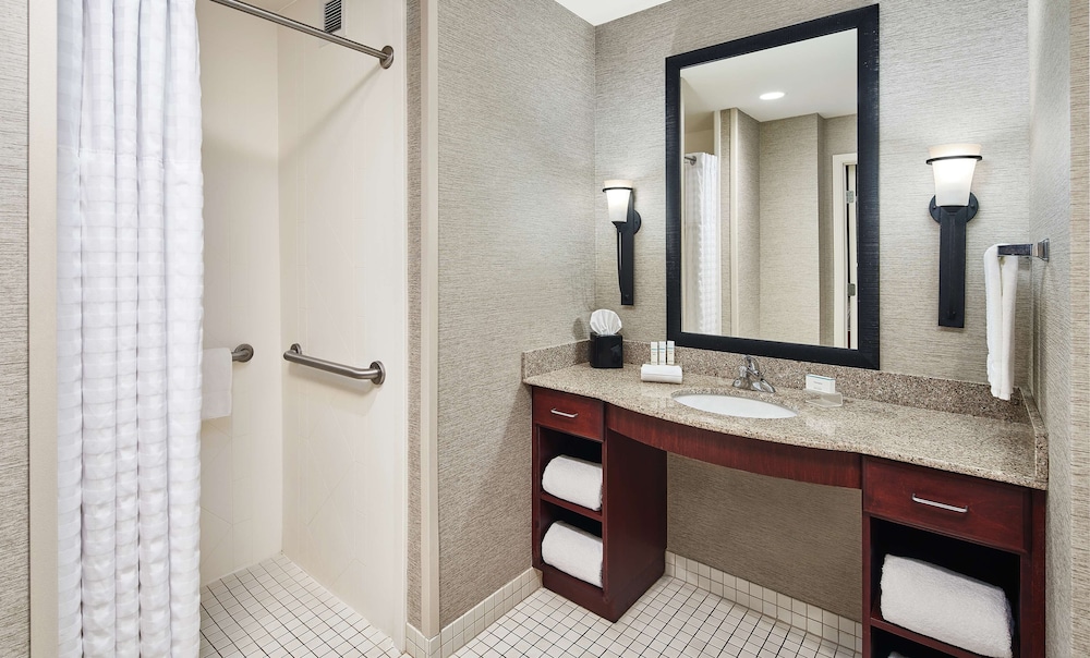 Studio, 1 King Bed, Accessible (Mobility & Hearing, Roll-in Shower) - Photo 7