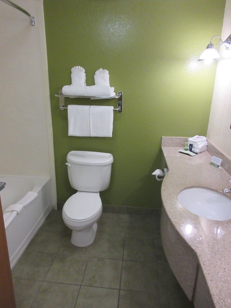 Suite, 1 King Bed, Non Smoking - Photo 6