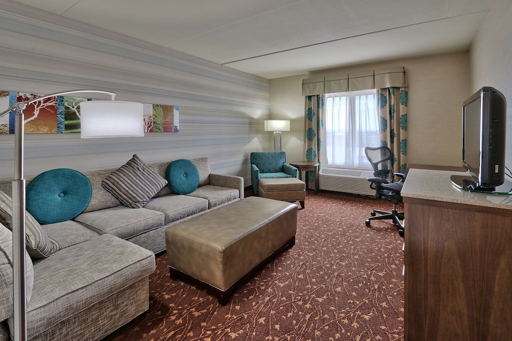Suite, 1 King Bed photo 2