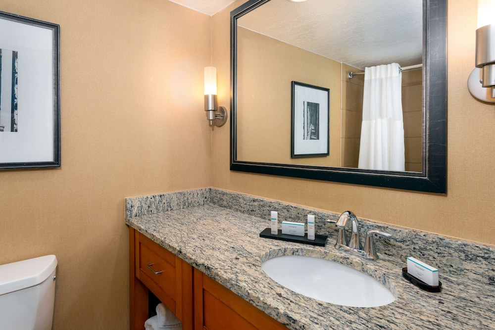 Suite, 1 King Bed, Accessible, Bathtub - Photo 4