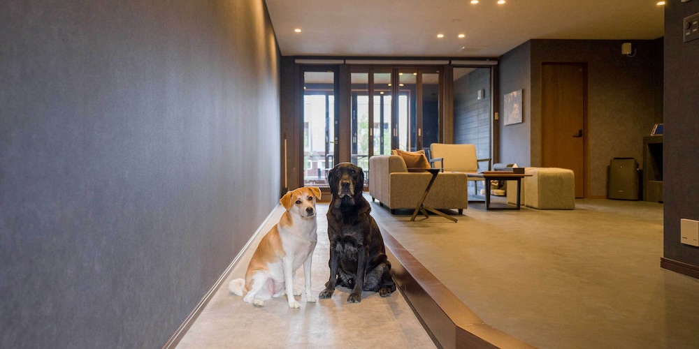 [Dog-friendly] Standard Room, Non Smoking - Photo 19