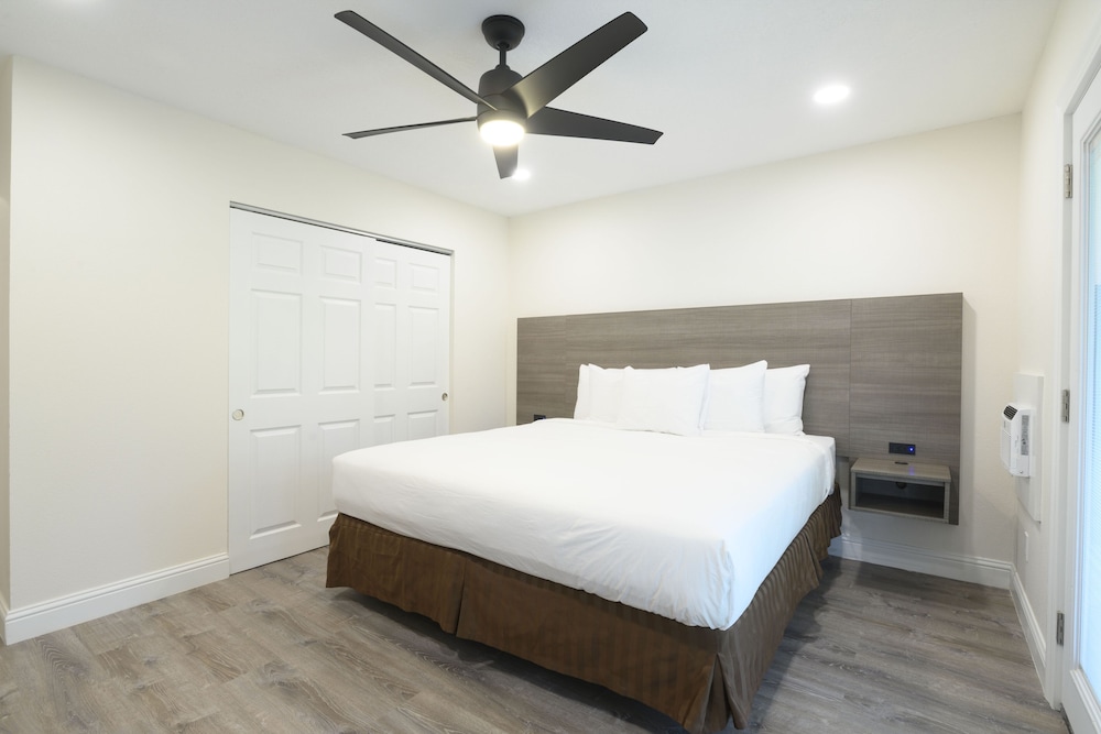 Suite, 1 Bedroom - Photo 4