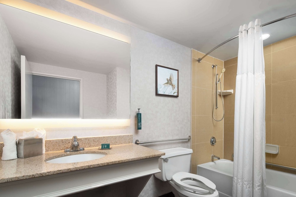 One Double Bed, Non-Smoking, Accessible photo 2
