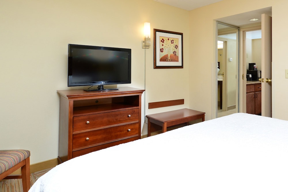 Suite, 1 King Bed, Accessible, Non Smoking (Hearing) - Photo 3