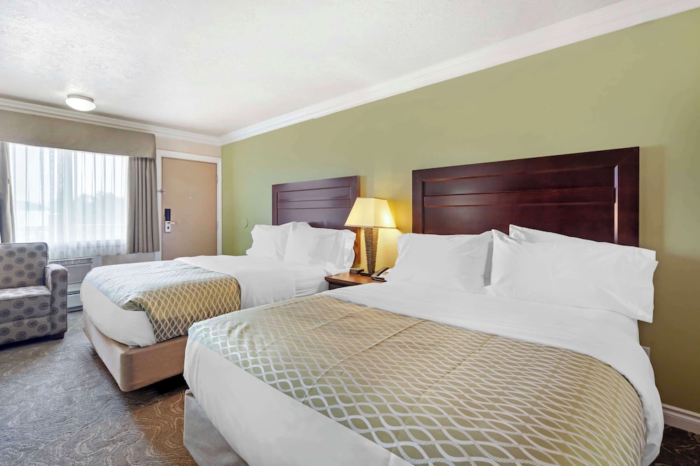 Standard Room, 2 Queen Beds, Non Smoking, Refrigerator & Microwave (Pet Friendly) - Photo 1