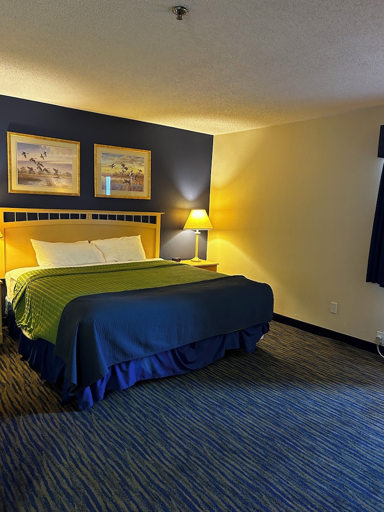 Standard Suite, 1 King Bed photo 1