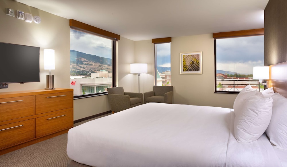 Suite, 1 King Bed with Sofa bed, Accessible (Shower)