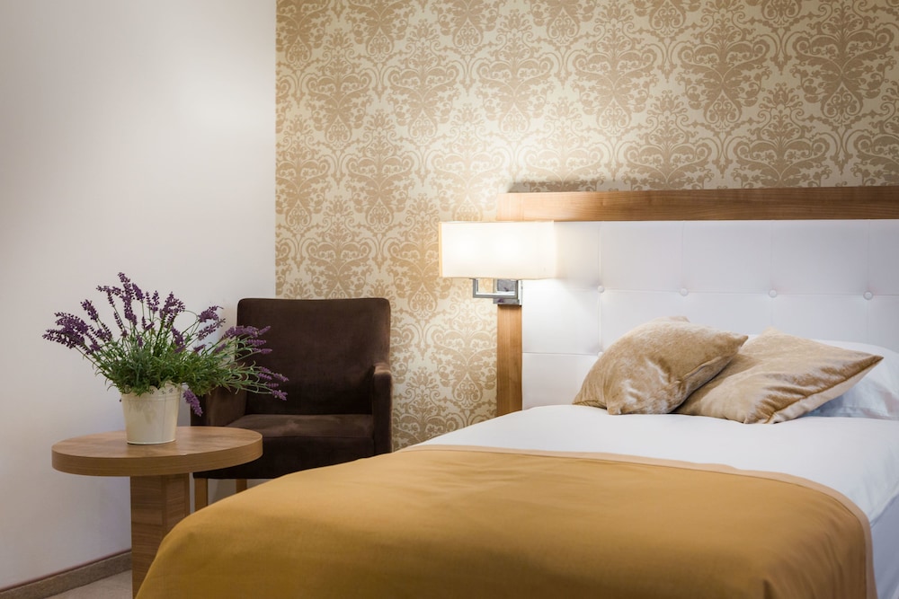 Standard Double Room, 1 King Bed photo 2