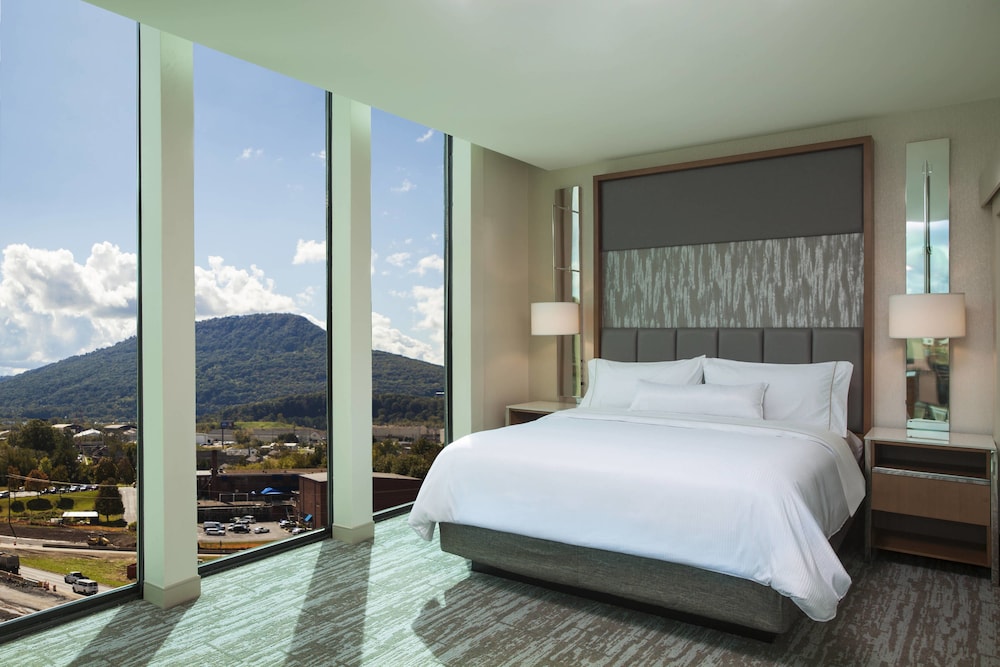 Deluxe Suite, 1 Bedroom, Patio (Mobility Accessible, Roll-In Shower) photo 2