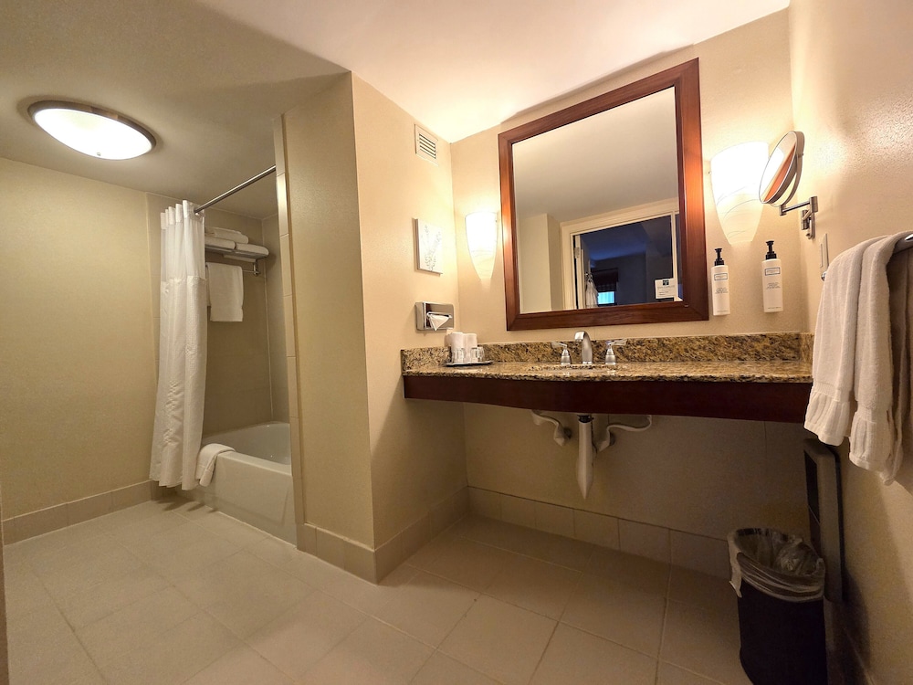 Elite Suite,1 Queen,1 bedroom Apartment,Separate adjoining Living Space and Sofa Bed, Accessible/ADA