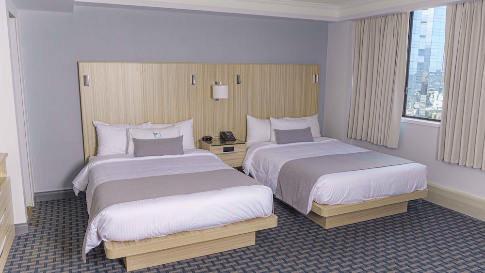 Premium Studio, 2 Double Beds - Photo 4