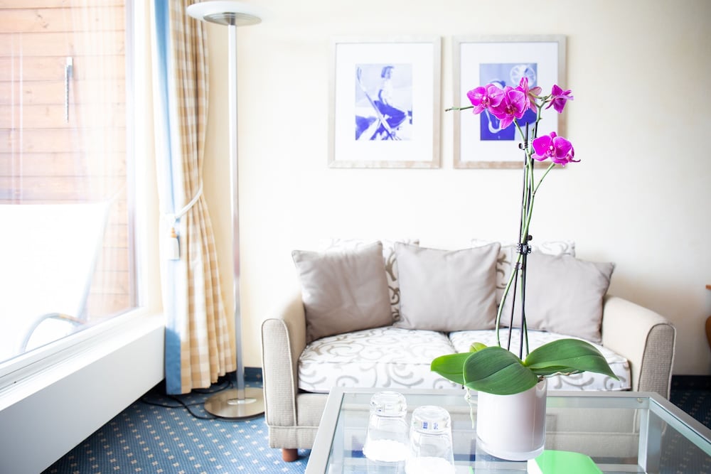 Superior Double Room South/West photo 1