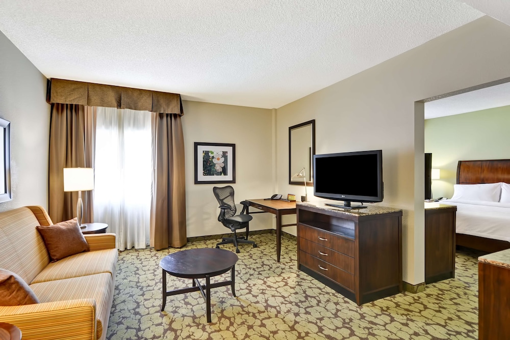 Suite, 1 King Bed, Accessible