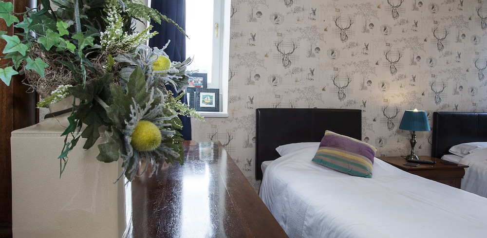 Twin Room photo 2