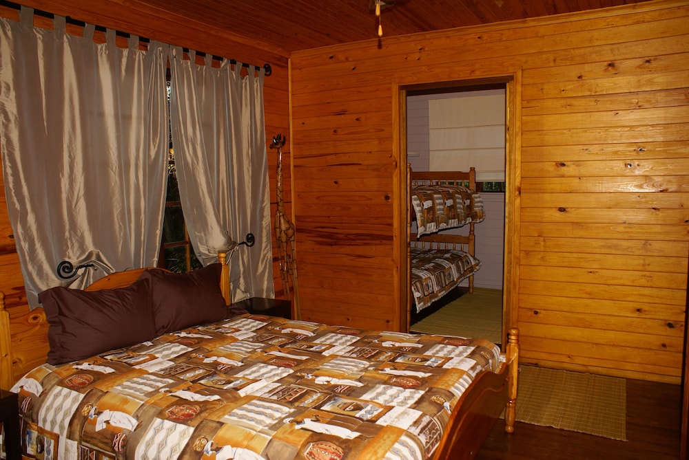 Standard Room (Bushbaby) photo 1