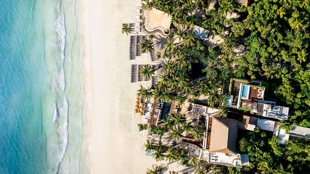 Casa Zamna Ocean Front Junior Suite King